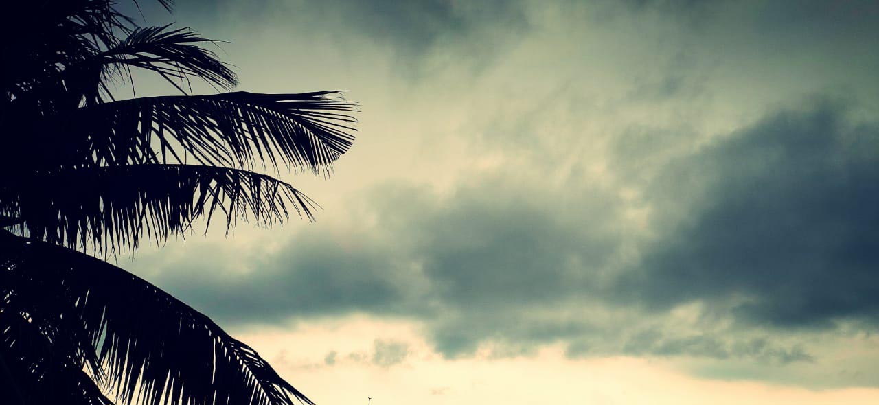 প্রাকৃতিক